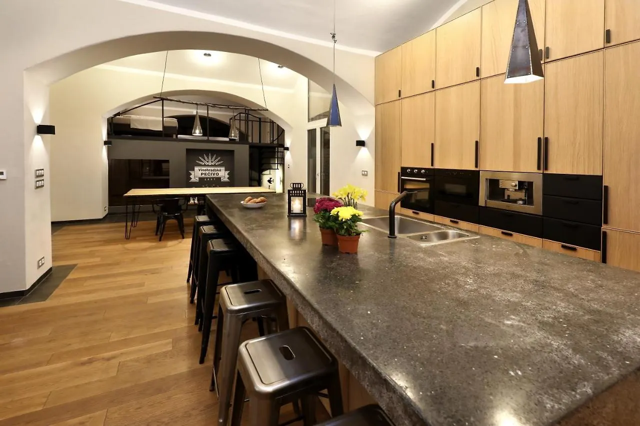 Design Loft 2 Minutes To Wenceslas Square Praag Appartement